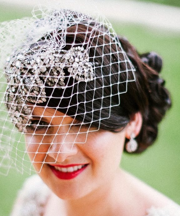 Birdcage veil