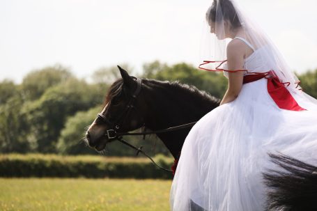 Red satin ribbon veil